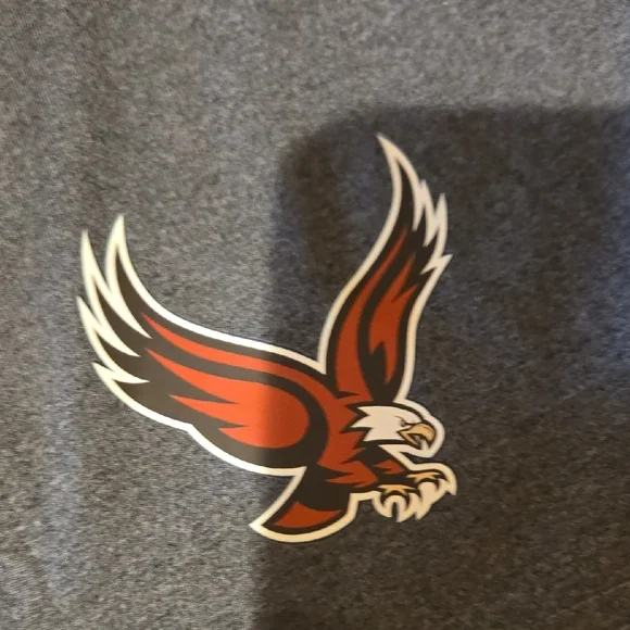 New Balance Boston College Eagles Men's Athletic Shorts Size Large Gray - Picture 4 of 7